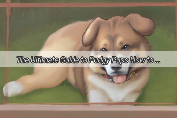 The Ultimate Guide to Pudgy Pups How to Safely and Enjoyably Fatten Up Your FourLegged Friend